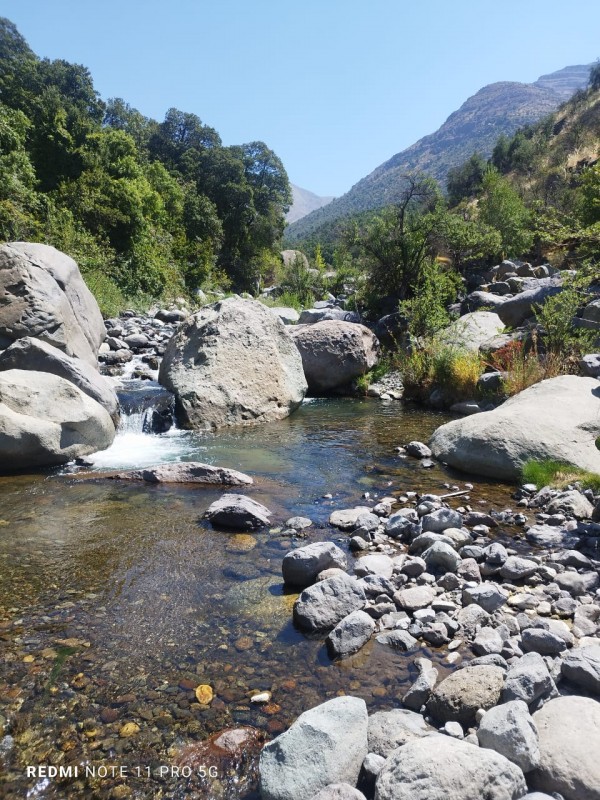 Bosque de Los Brujos