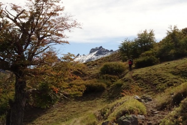 Circuito Termas de Pelehue - Baños de Coyuco