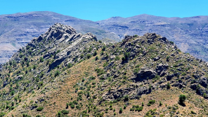 Lomas del Olivillo 