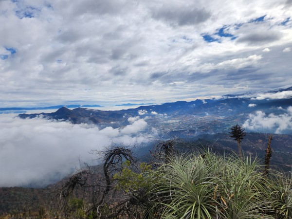 Morro Guayacán desde Av. La Plaza