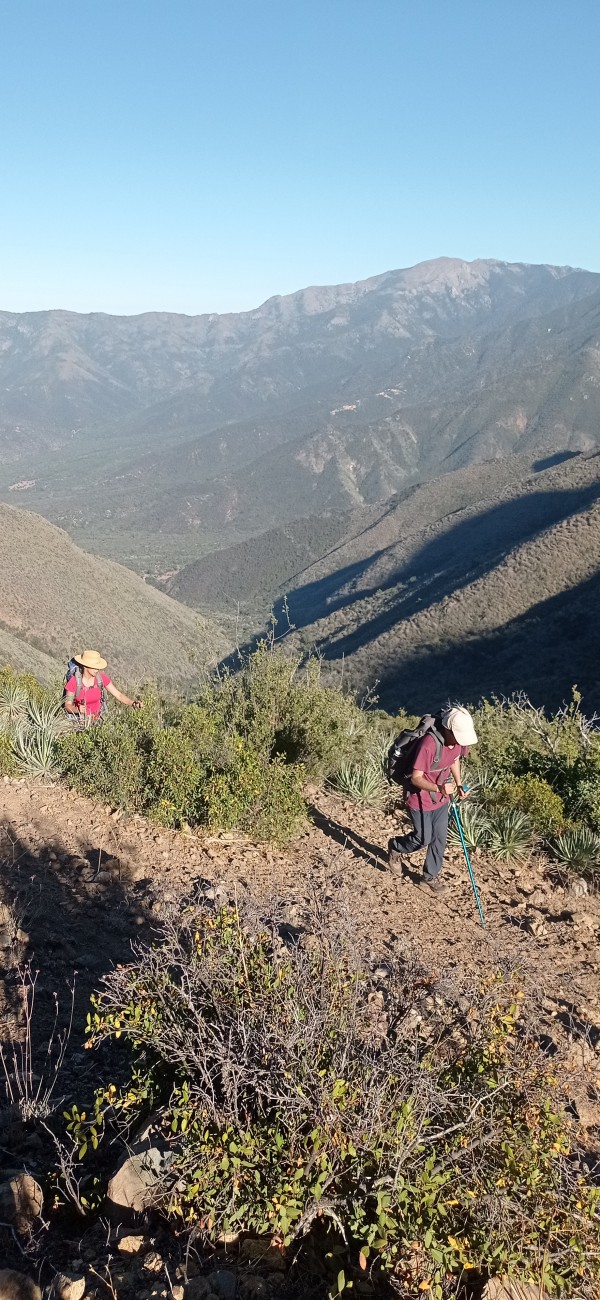 Alto de Cantillana