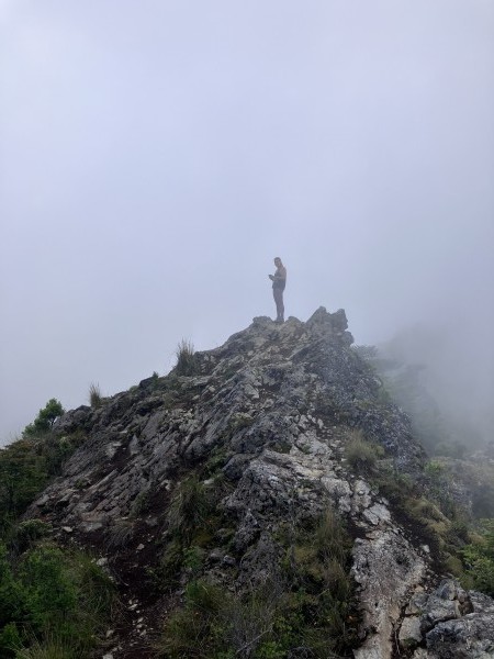 Mirador Quelhue