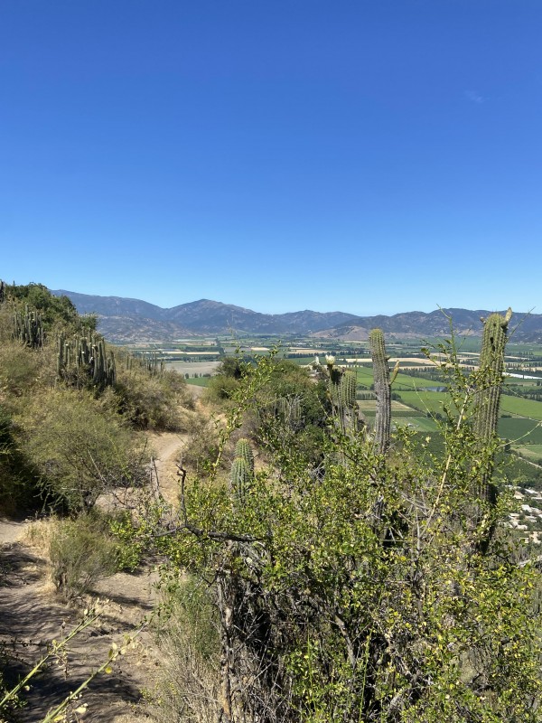 Cerro La Muralla