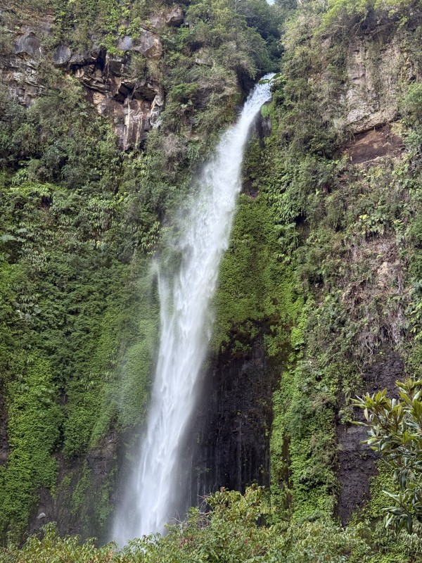Salto el Canelo