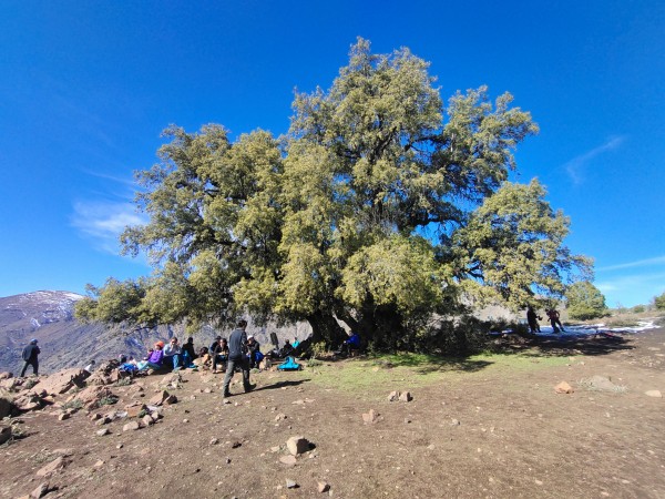 Alto del Naranjo por Puente Ñilhue
