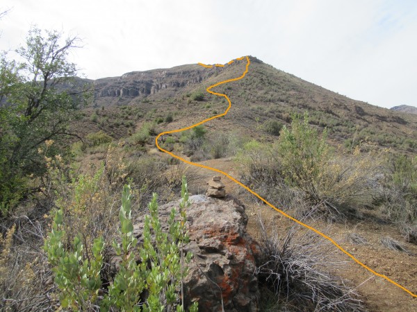 Pata del Diablo