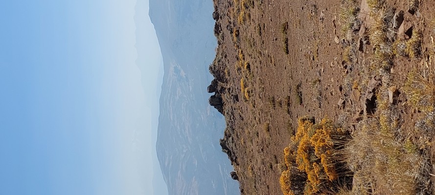 Pata del Diablo