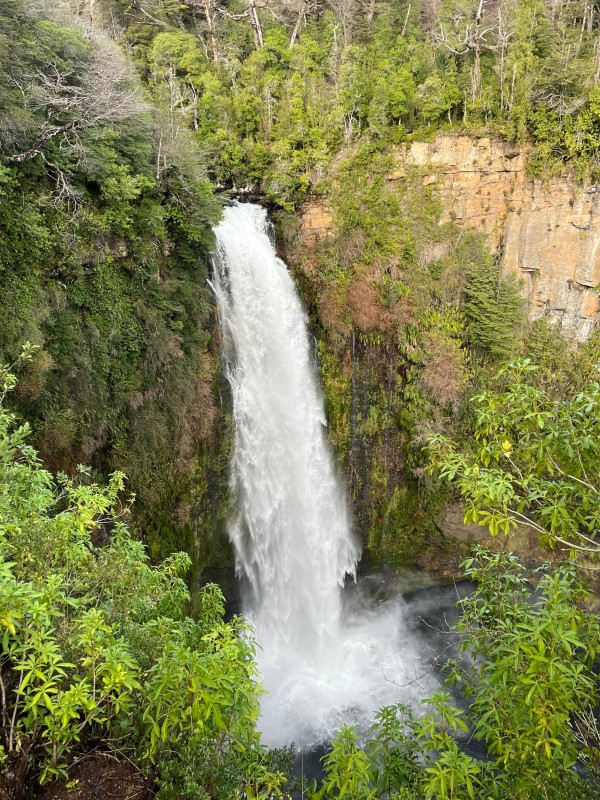 Salto del Malleco