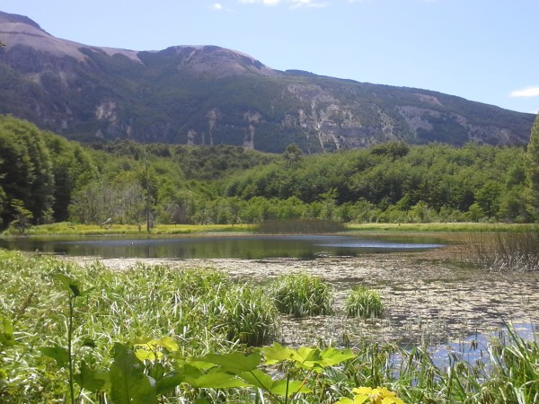 Las Lagunas