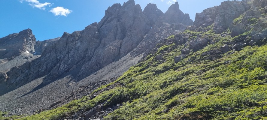 Dientes de Navarino