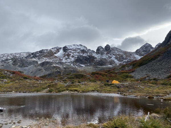 Dientes de Navarino