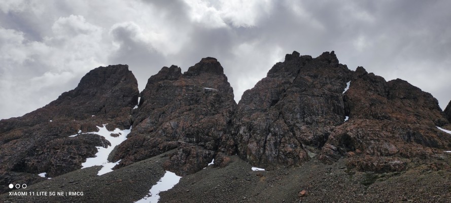 Dientes de Navarino