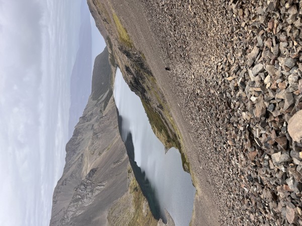 Dientes de Navarino