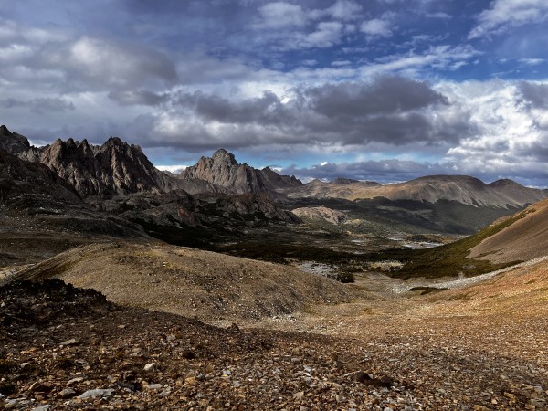 Dientes de Navarino