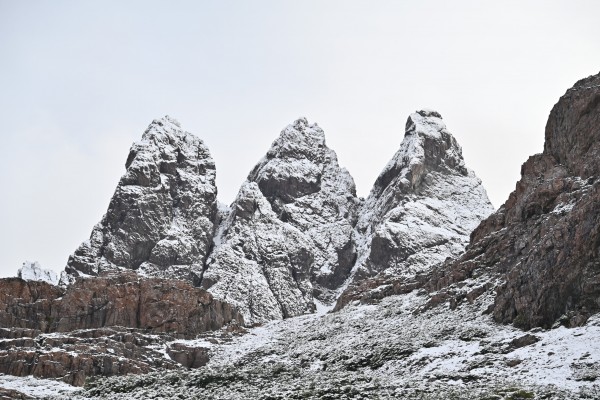 Dientes de Navarino
