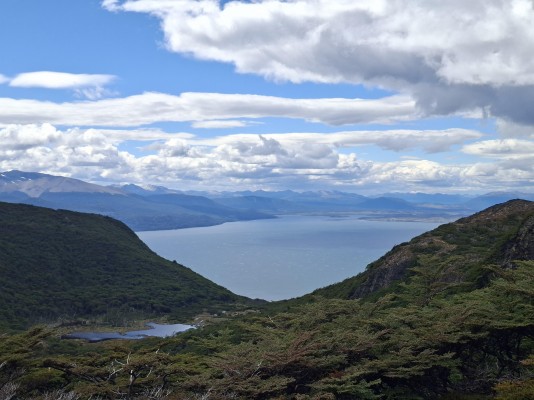 Dientes de Navarino