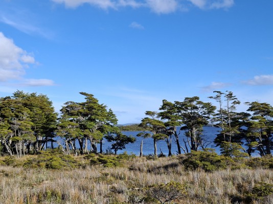 Lago Windhond