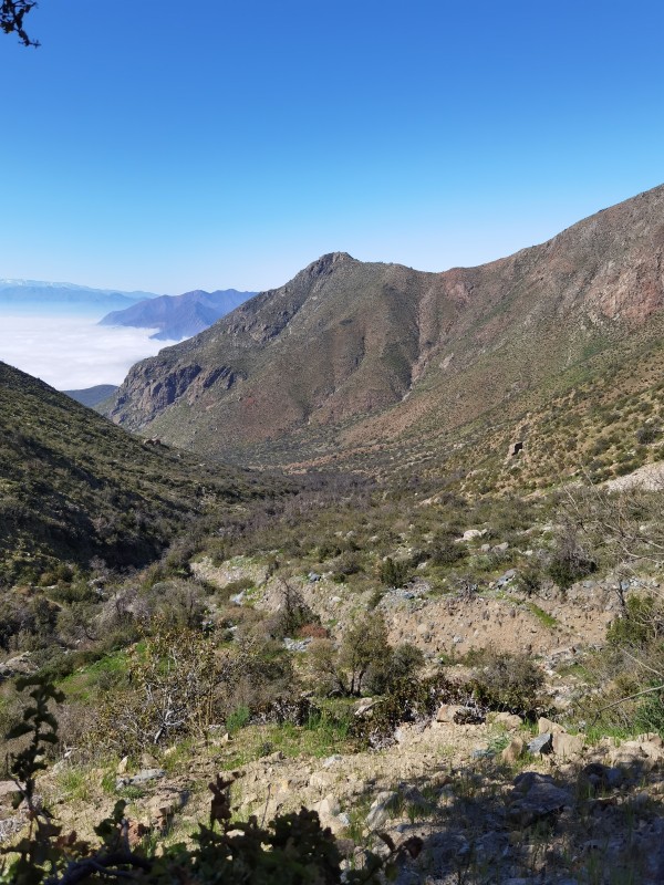 Serranía del Ciprés