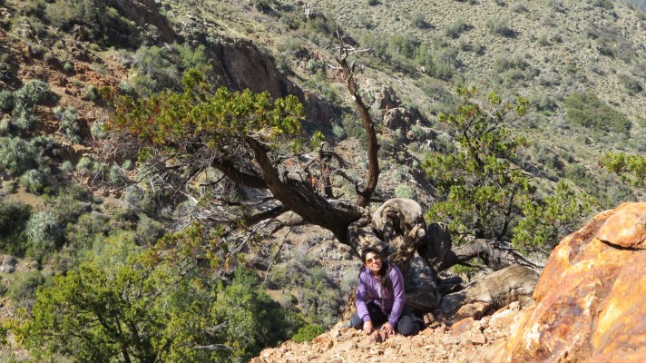 Serranía del Ciprés