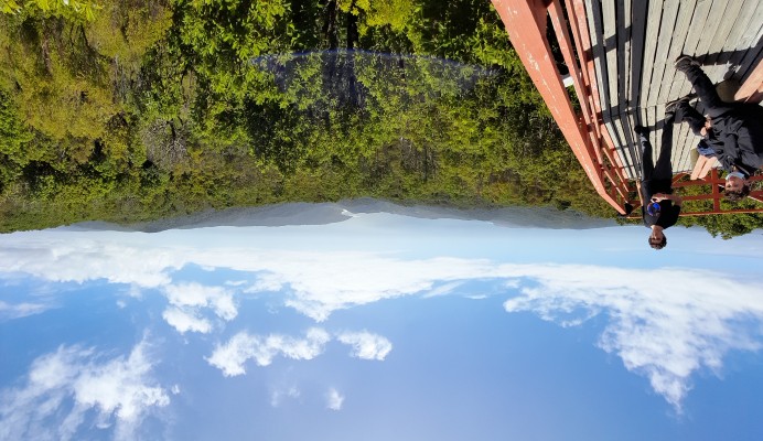 Mirador de Chaihuín