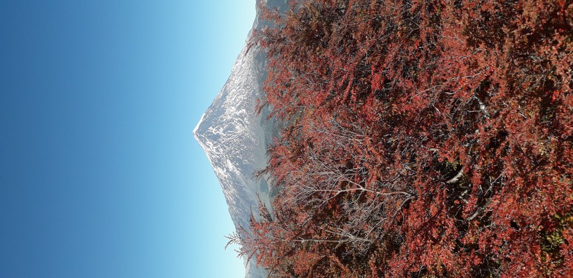 Mirador del Quinquilil (Colmillo del Diablo)