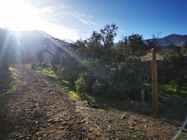 Alto del Naranjo vía San Carlos de Apoquindo