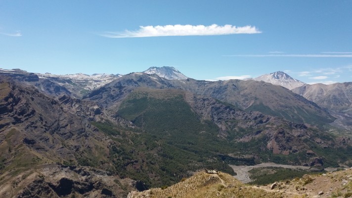 Mirador del Venado
