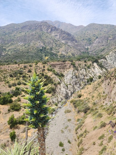 Salto de Apoquindo