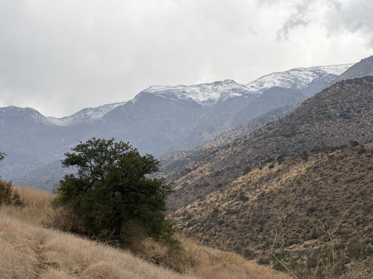 Los Peumos