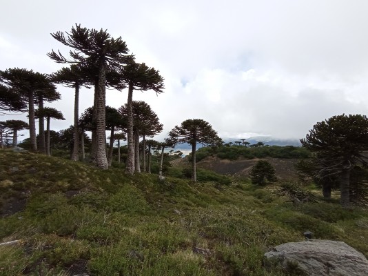 Mirador Sierra Nevada