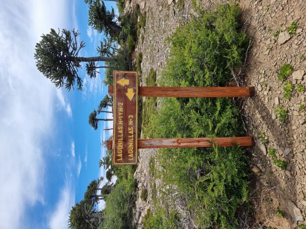 Lagunillas