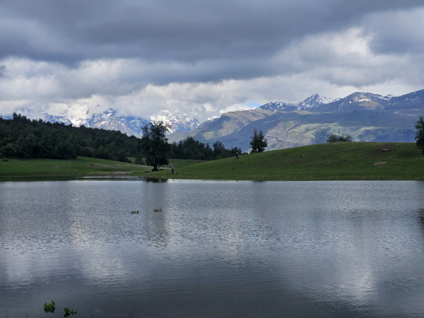 Laguna del Venado