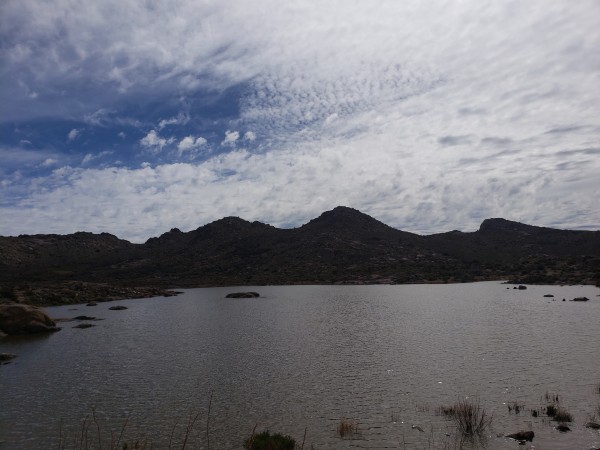 Laguna del Inca (Altos de Chicauma)