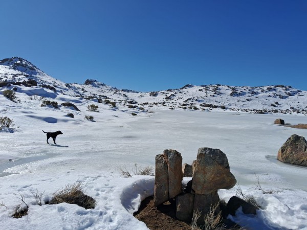 Laguna del Inca (Altos de Chicauma)