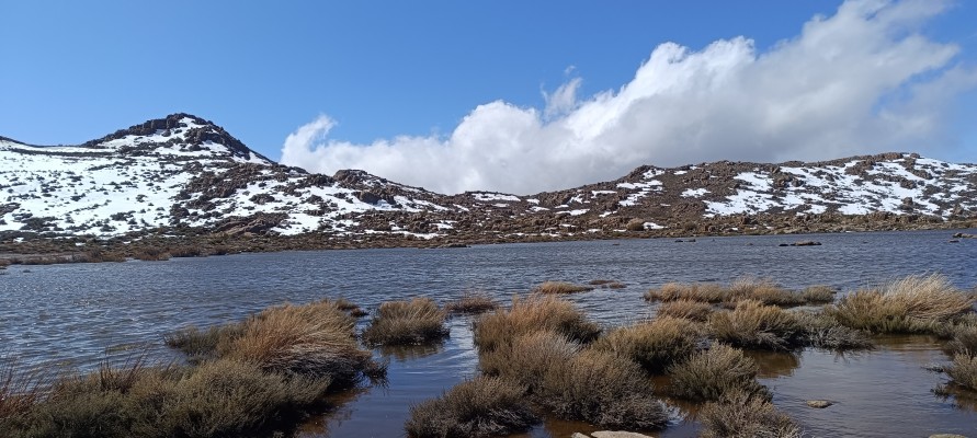 Laguna del Inca (Altos de Chicauma)