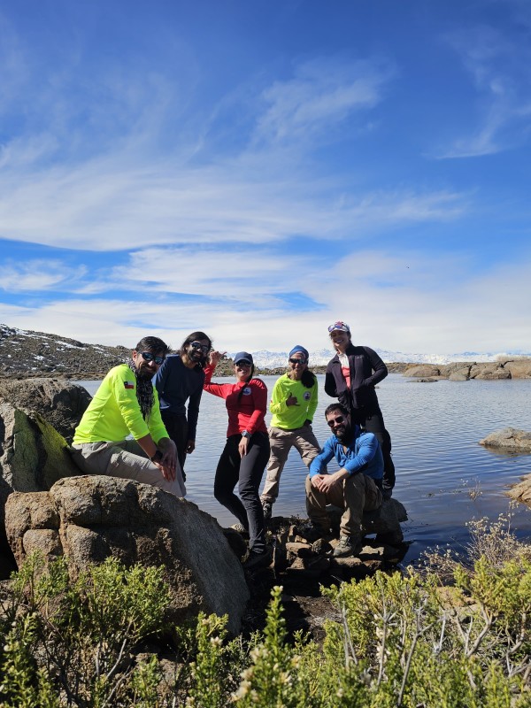 Laguna del Inca (Altos de Chicauma)