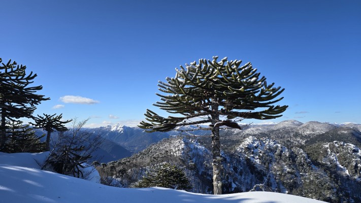 Mirador del Cañi