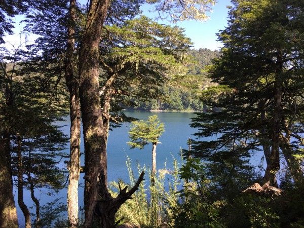 Lagunas Andinas