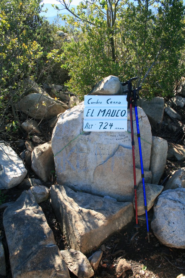 Gonzalo Gallegos