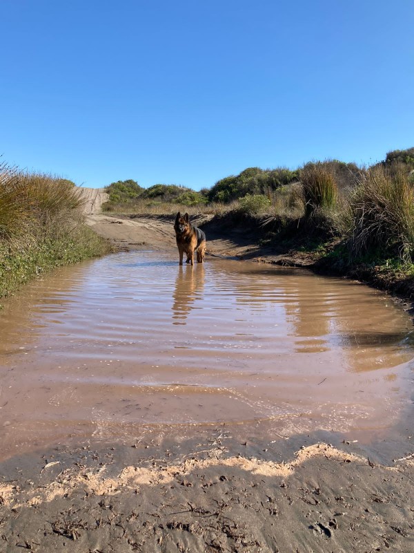 Campo Dunar de Ritoque