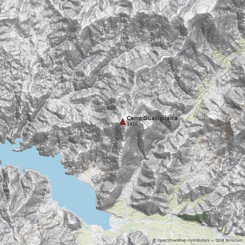 Mapa Cerro Gualliguaica
