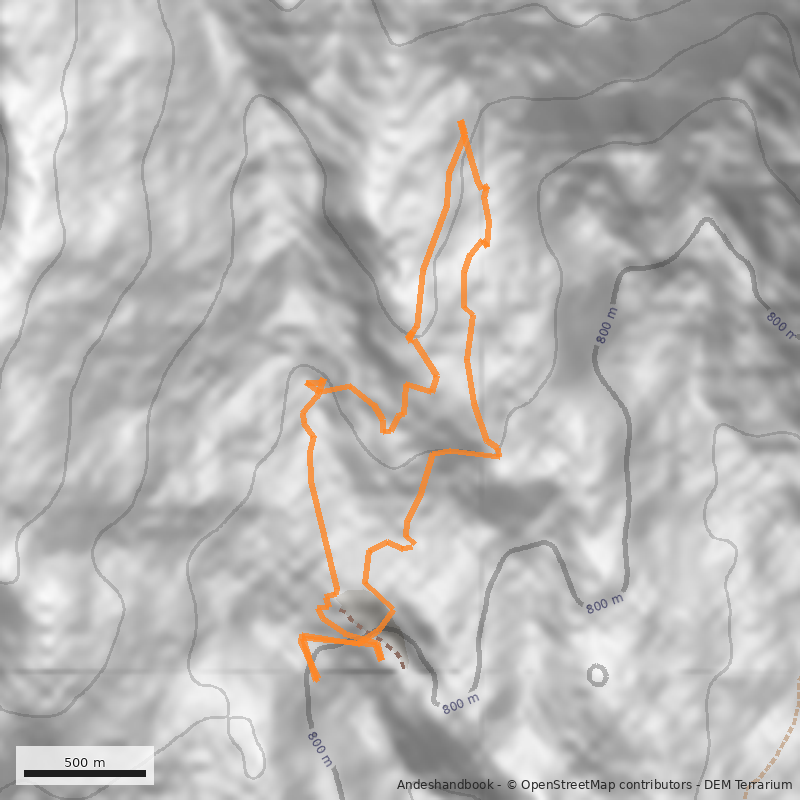 Mapa Bosque Petrificado