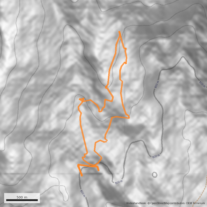 Mapa Bosque Petrificado