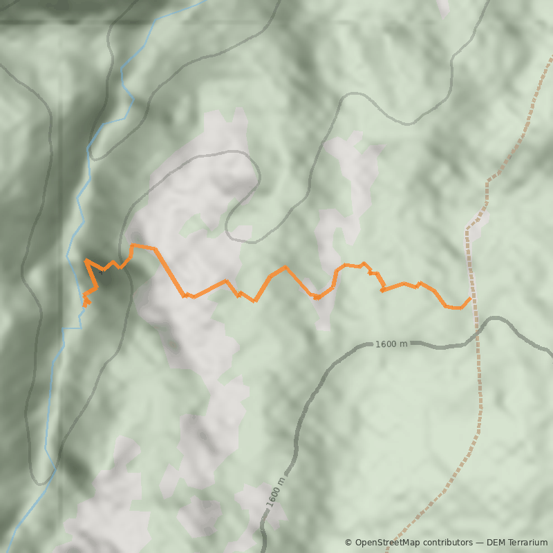 Mapa Cipreses Enanos