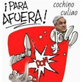 Marcelo Tapia