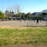 Salvemos Calama