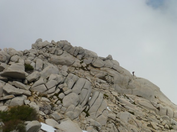 Malalcura