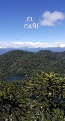 Normal desde camino al Huife