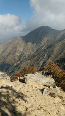 Alto del Gusano 