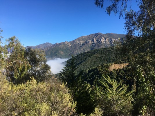 Normal desde Los Bronces